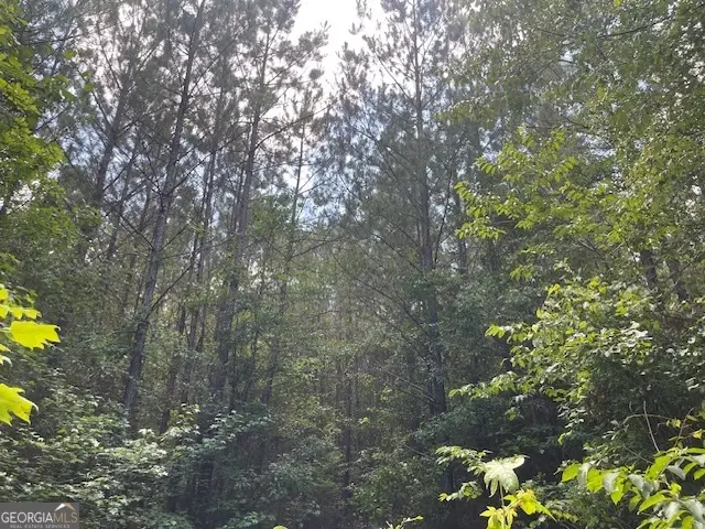 TRACT 3 AND 4 Sheppard Road, Franklin, GA 30217 - Image #1