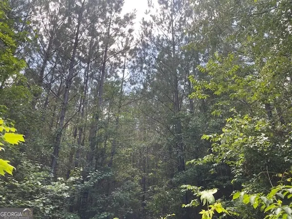 TRACT 3 AND 4 Sheppard Road, Franklin, GA 30217