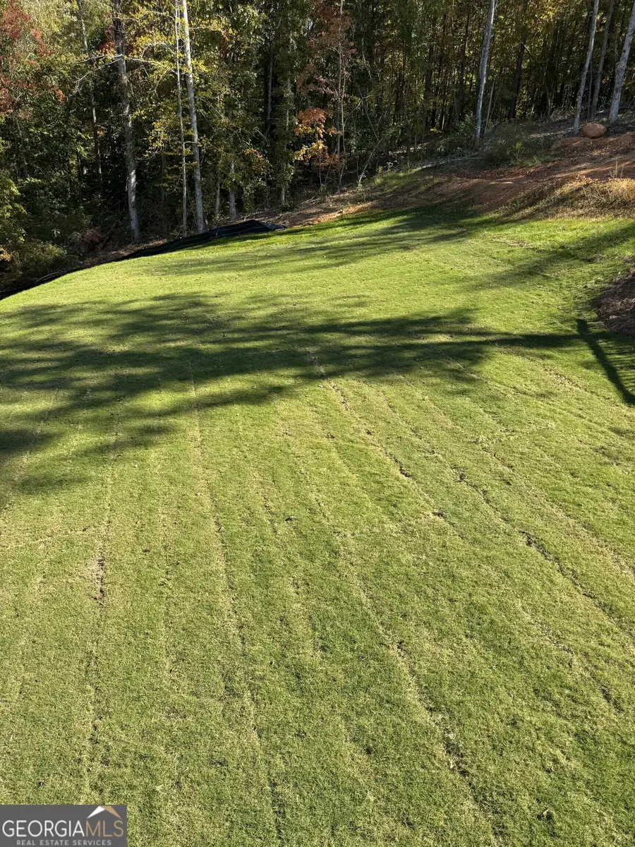 105 Eryn Terrace, Covington, GA 30014 - #3