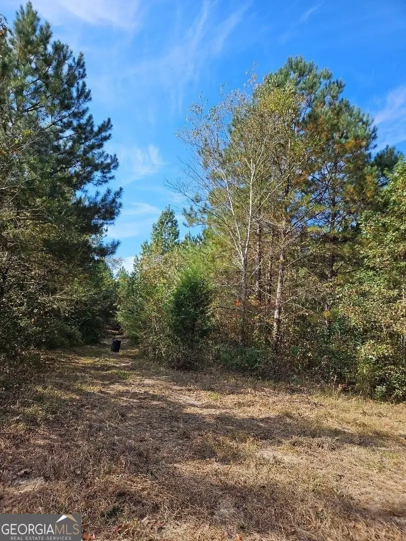 0 Fruit Farm Road, Summerville, GA 30747 - Image #2