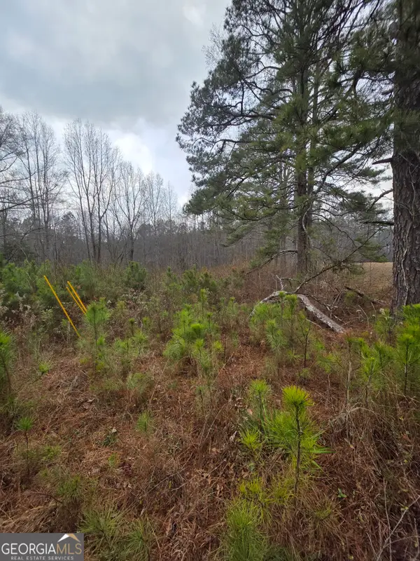 5534 Steadman Road, Tallapoosa, GA 30176