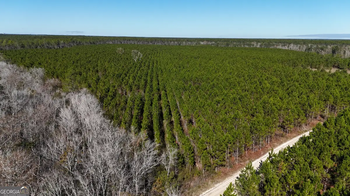 29 AC Owens Road, Odum, GA 31555 - Image #1