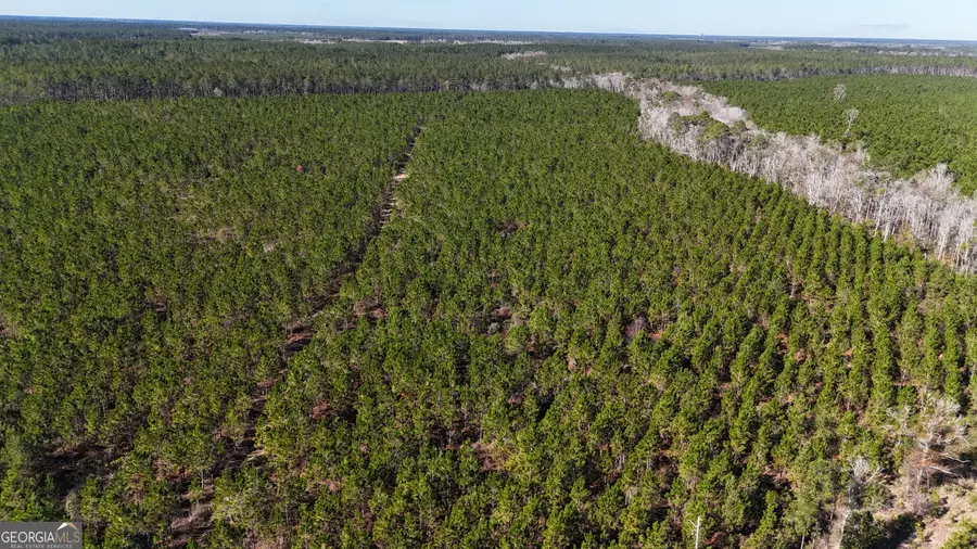 29 AC Owens Road, Odum, GA 31555 - Image #2