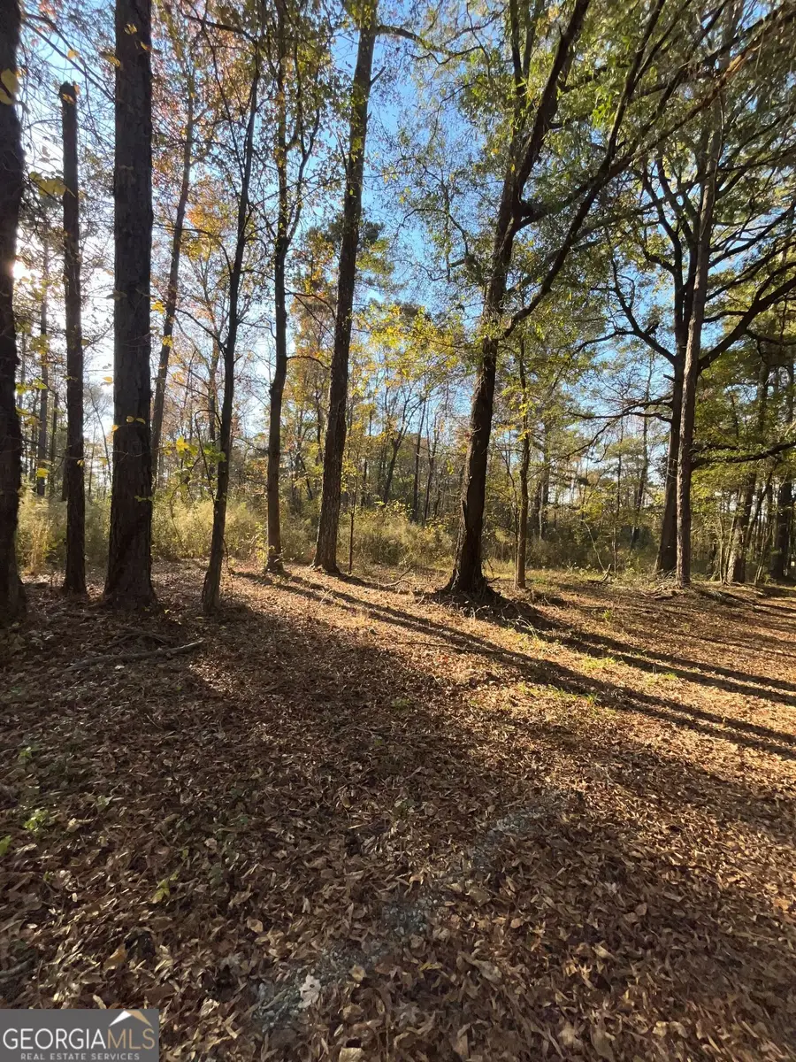 0 Oak Lane, Madison, GA 30560 - Image #3