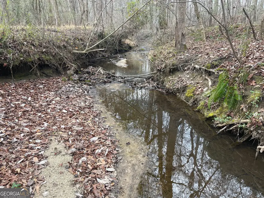 0 Whiteside Road, Chattahoochee Hills, GA 30268 - Image #2