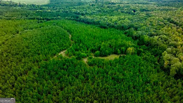 0 Les Smith Road, Ellaville, GA 31806