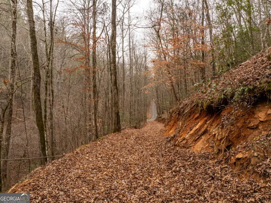 377 Soldiers Path, Dahlonega, GA 30533 - Image #3