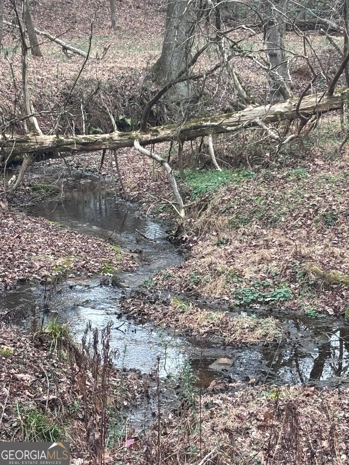 0 Porter Road, Maysville, GA 30558 - Image #1