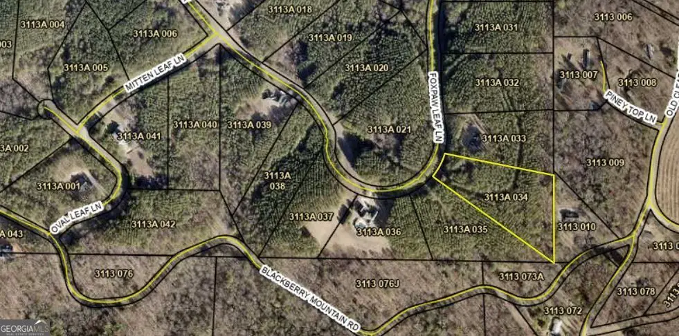0 Fox Paw Leaf (lot 34) Lane, Ellijay, GA 30540 - Image #1