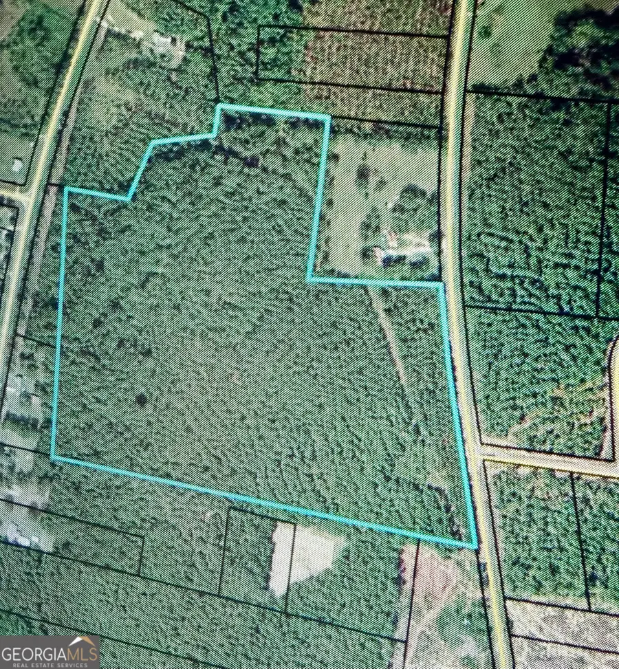 0 Rock Springs Road, Dublin, GA 31021 - Image #3