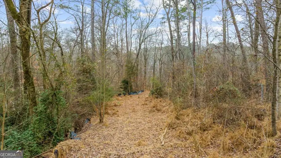 4194 Rocky Ledge Way, Snellville, GA 30039 - #3