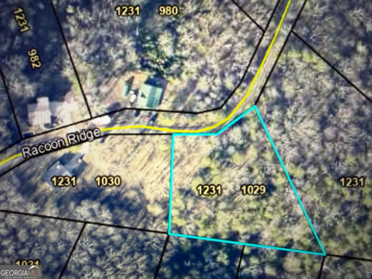 1029 Raccoon Ridge Road, Ranger, GA 30734 - Image #1