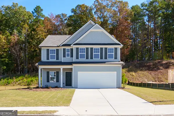 234 River Run Drive #81, Dallas, GA 30132