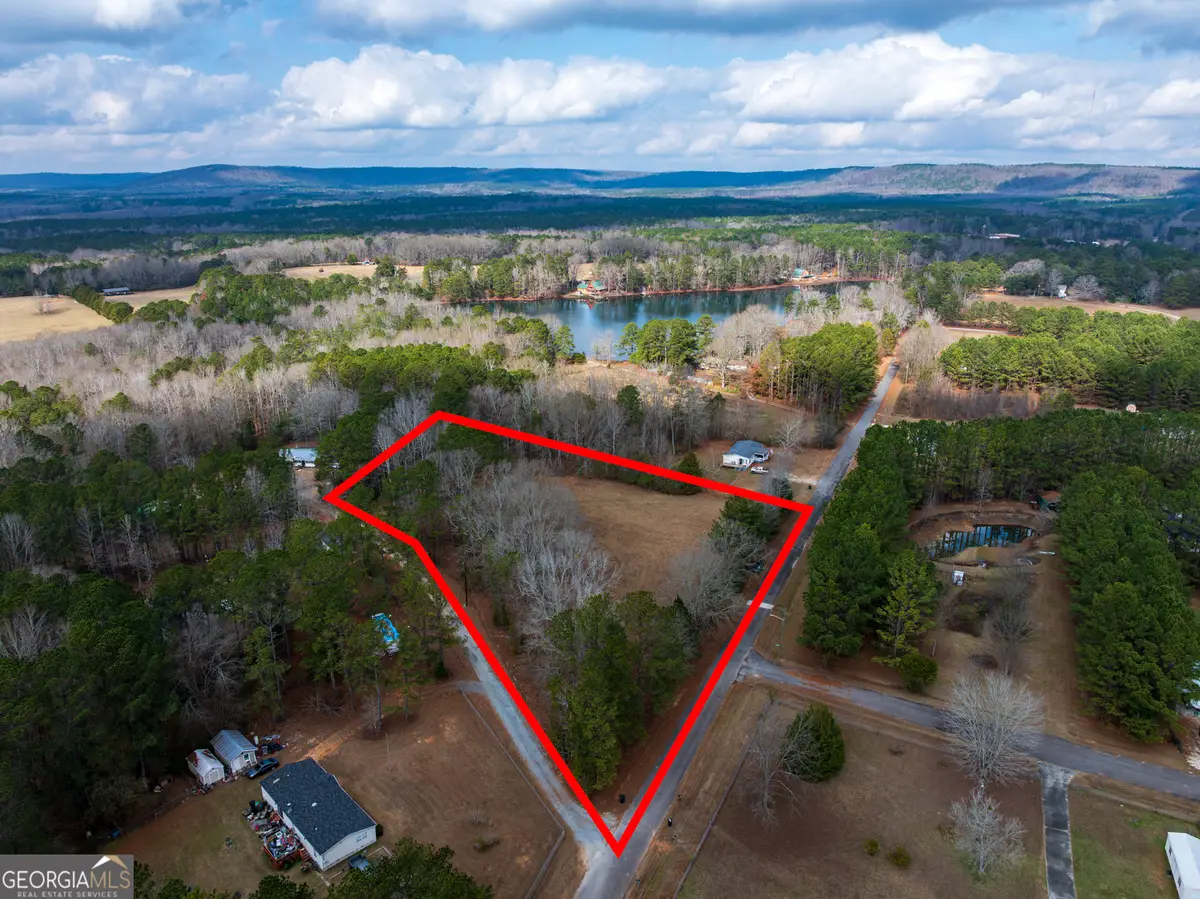 2.83 ACRES Williams Road, Shiloh, GA 31826 - Image #1
