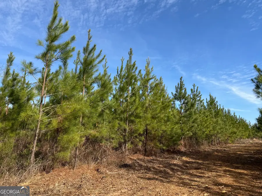 15 Dozier Road, Ellaville, GA 31806 - Image #2