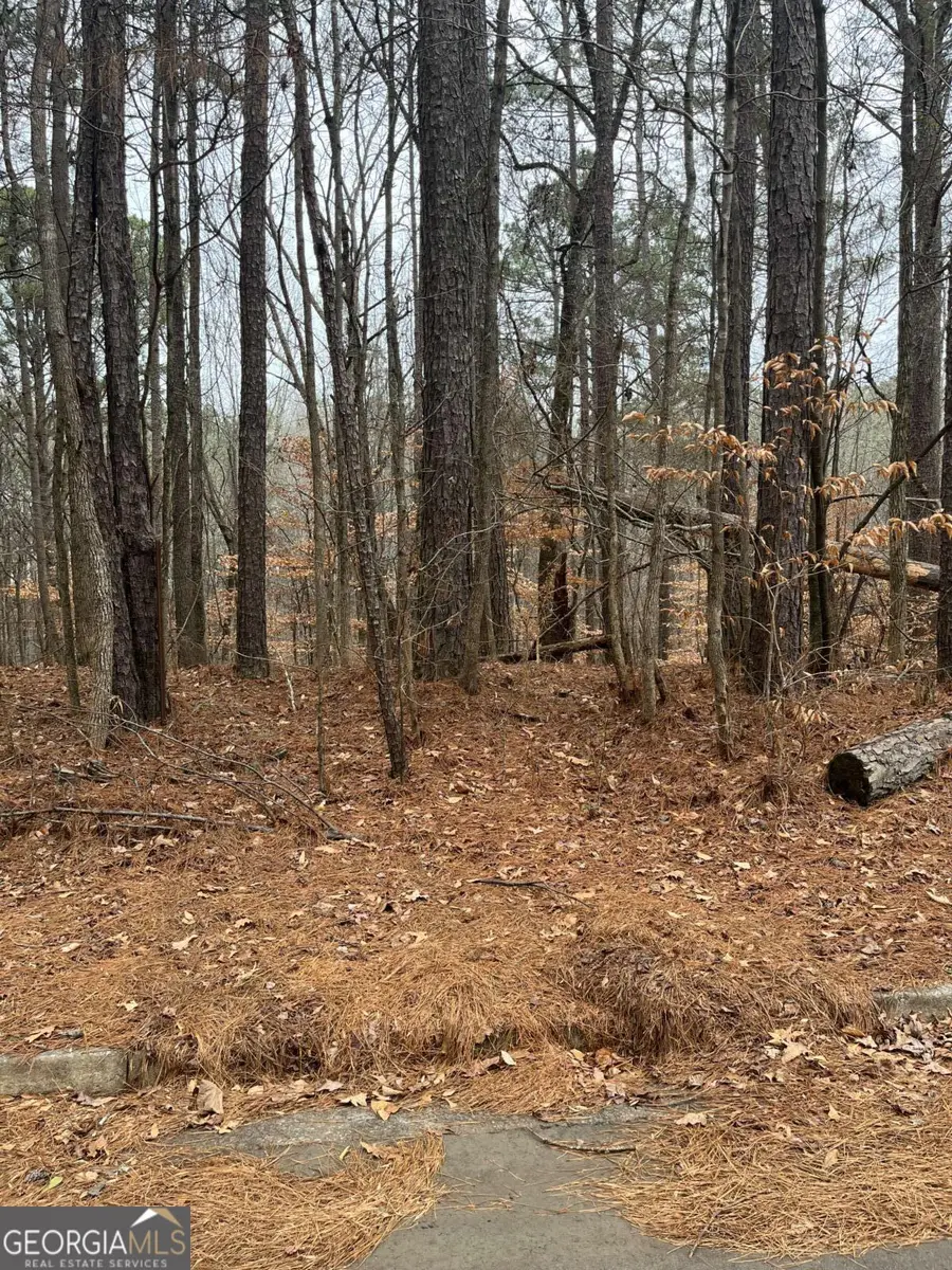 LOT 3 Lake Esther Drive, Fairburn, GA 30213 - #2