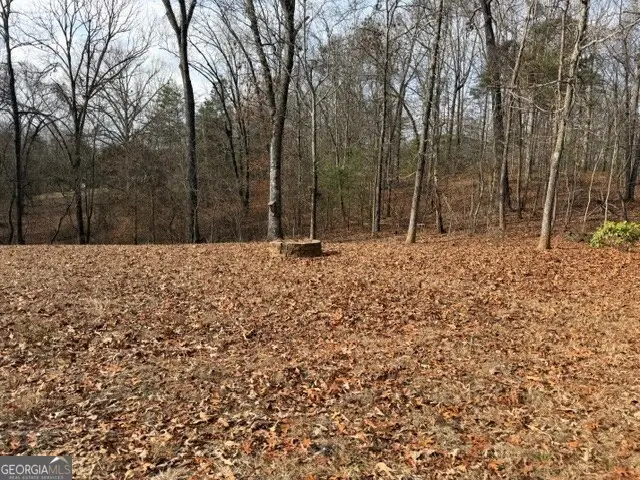 124 Cimmaron Drive, Murrayville, GA 30564 - Image #3