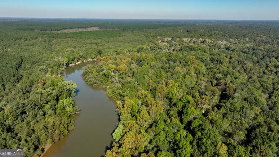 0 Abbeville Highway, Rhine, GA 31077 - Image #2