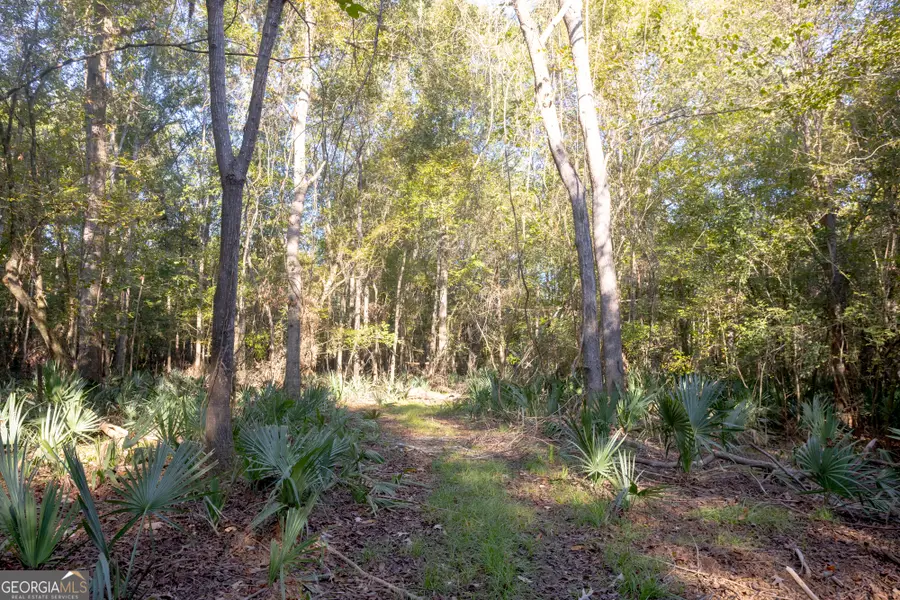 0 Abbeville Highway, Rhine, GA 31077 - Image #3