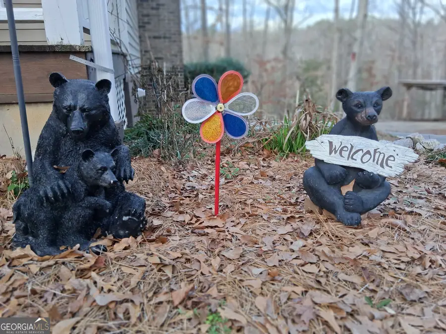 1125 Transylvania Drive, Sandersville, GA 31082 - #2