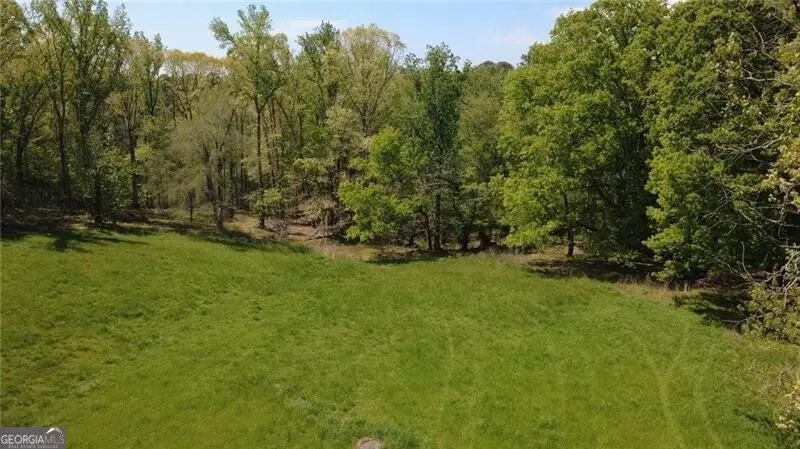 733 Pleasant Union Road, Canton, GA 30114 - Image #3