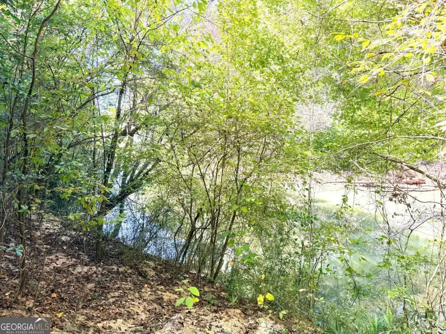 0 Towaliga South Road, Jackson, GA 30233 - Image #3