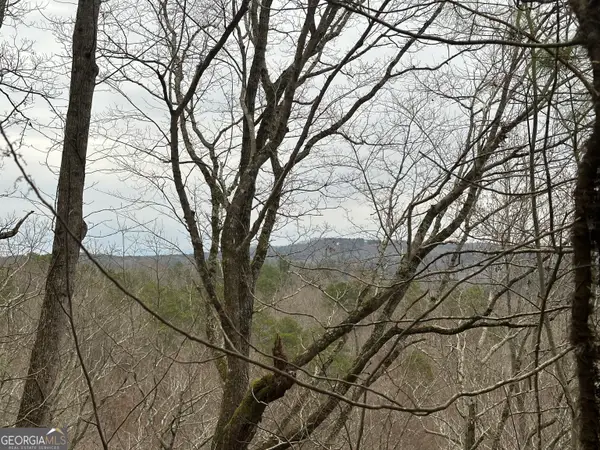 306 Oberlin Court, Ranger, GA 30734