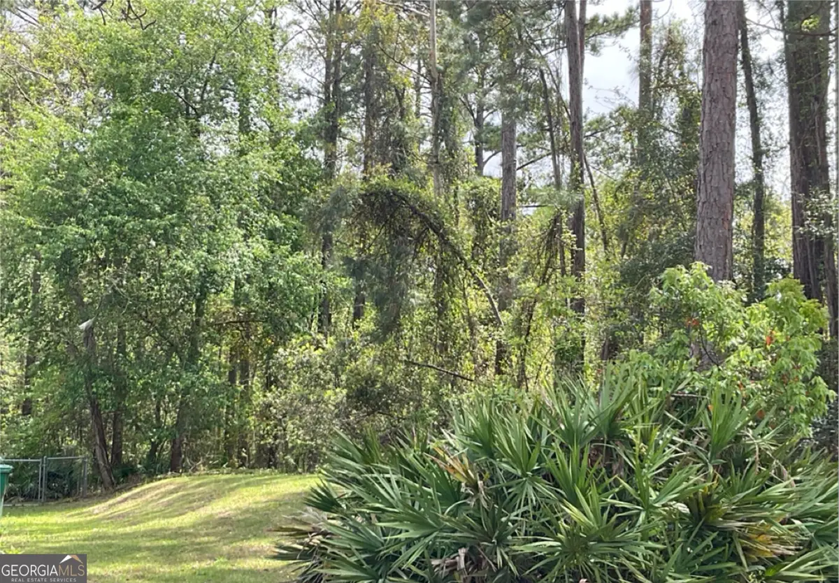 2.18 Acres Sailfish Drive, Darien, GA 31305 - Image #1