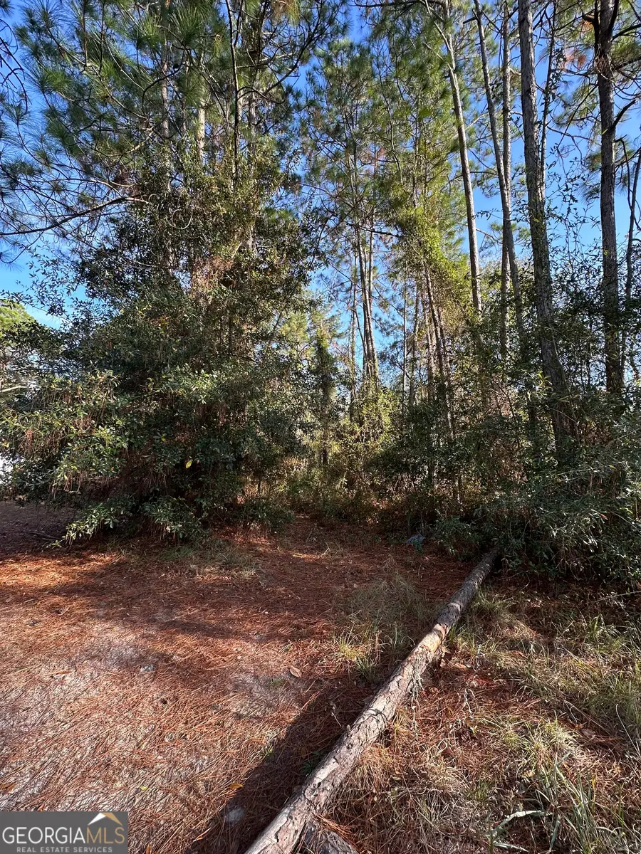 2.18 Acres Sailfish Drive, Darien, GA 31305 - Image #2