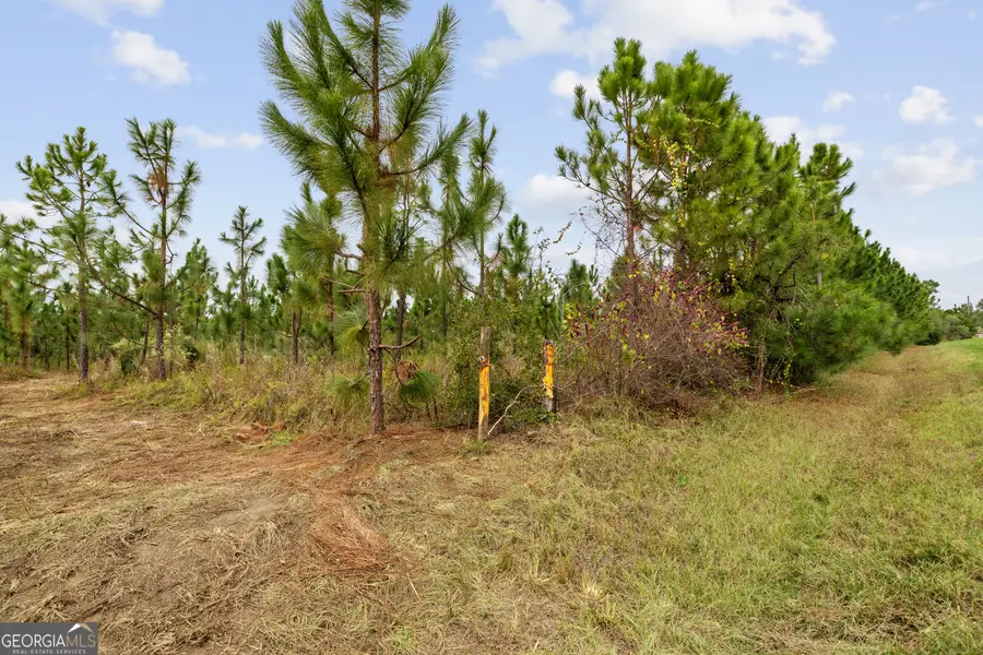 0 Highway 297 #TRACT 3, Soperton, GA 30457 - #3