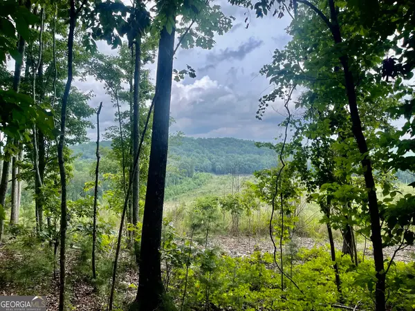 0 White Oak Rd, Summerville, GA 30747