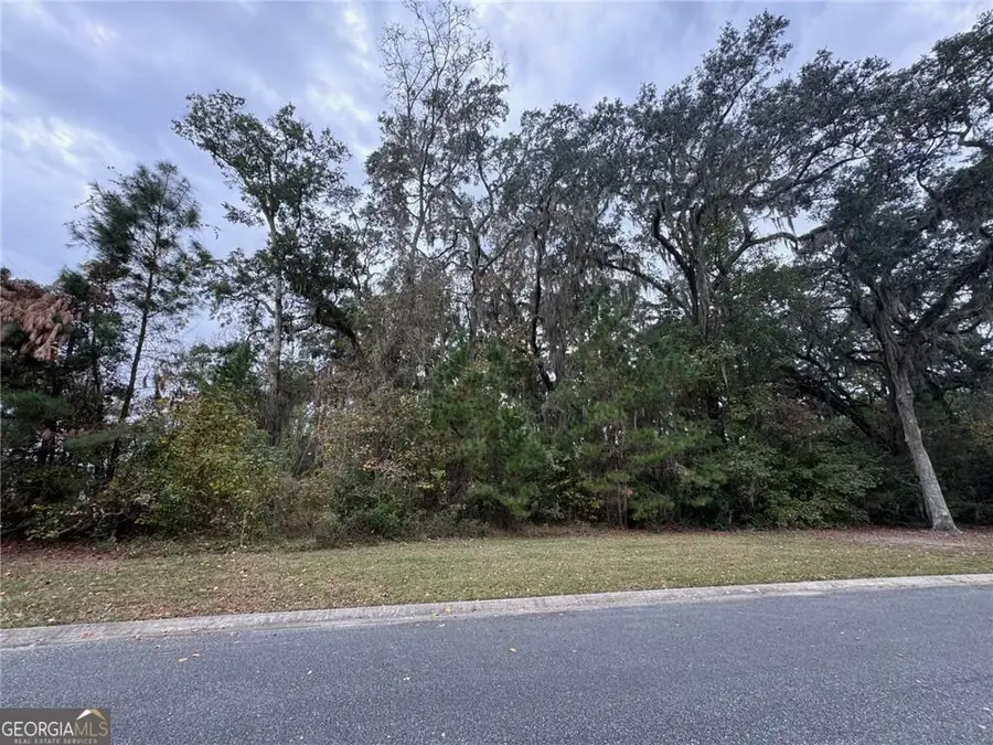 LOT 139 Canopy Lane, Waverly, GA 31565 - #3