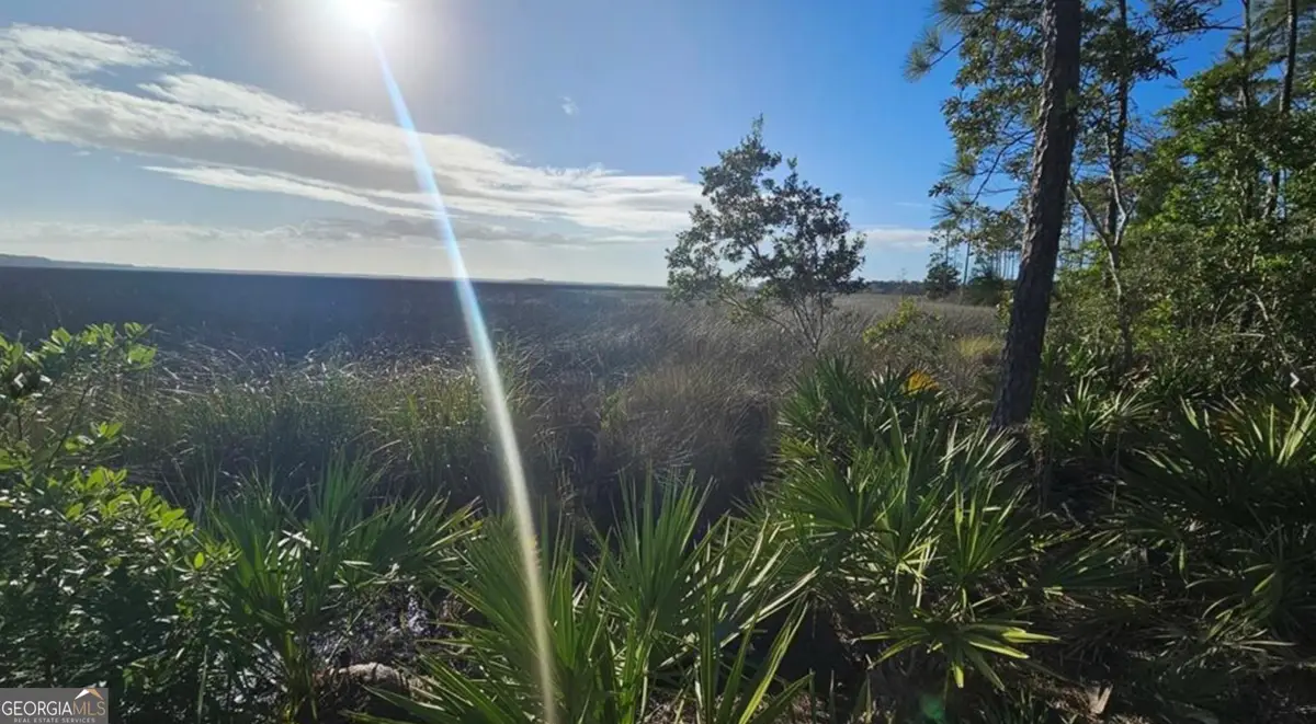 2130 Isles Of St Marys Way #LOT 217, Saint Marys, GA 31558 - Image #1