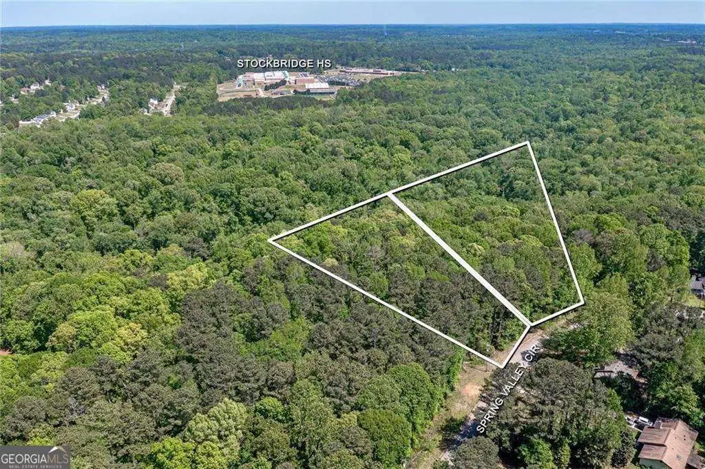 53 Springvalley Circles, Stockbridge, GA 30281 - Image #1