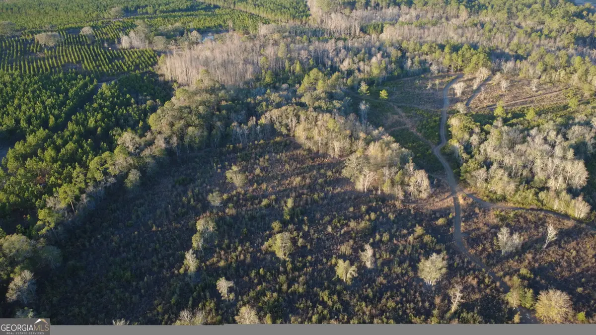 3376 Pine Cone Trail, Mershon, GA 31551 - Image #1