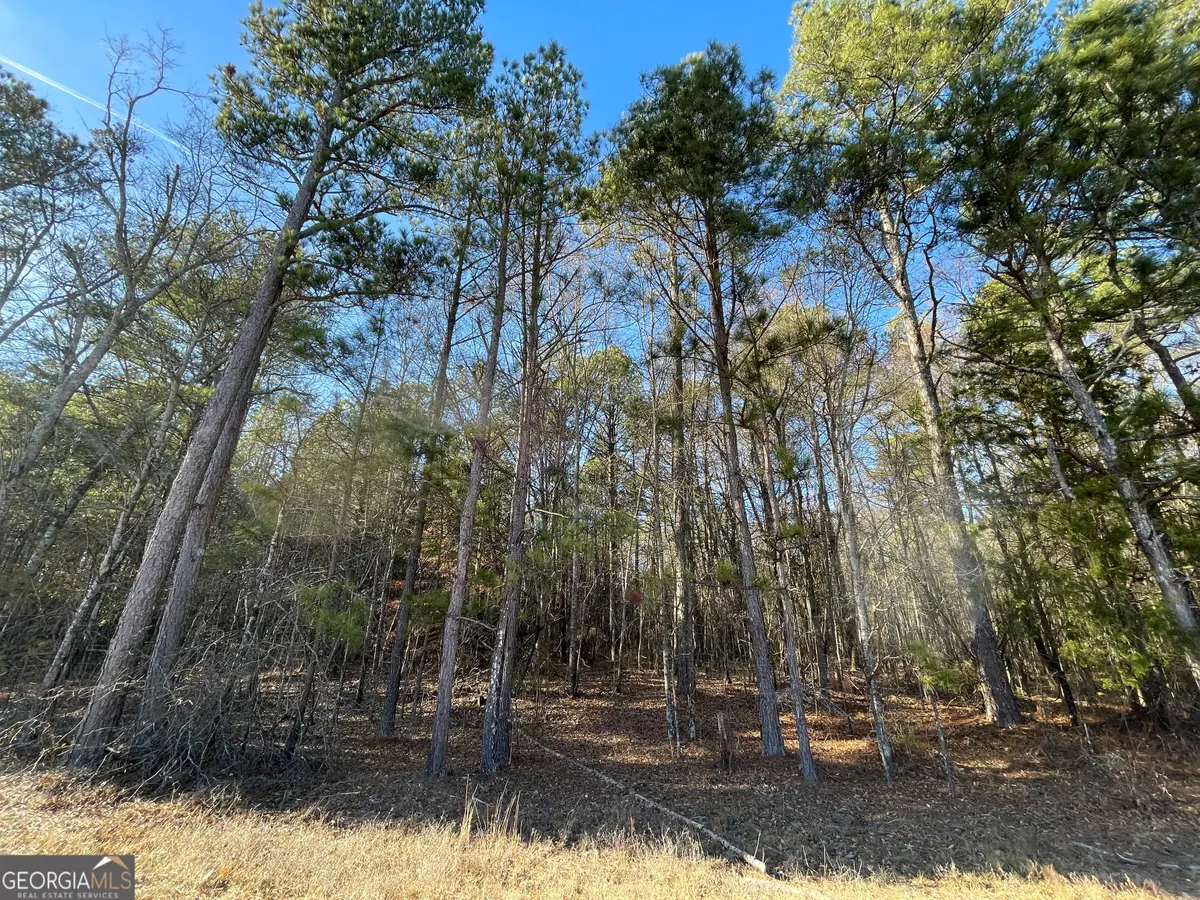 13 AC S Highway 81, Covington, GA 30016 - Image #1