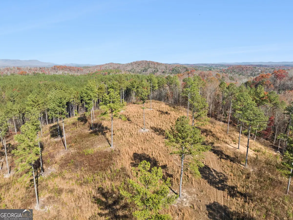 0 Sand Pit Road, Summerville, GA 30747 - Image #1