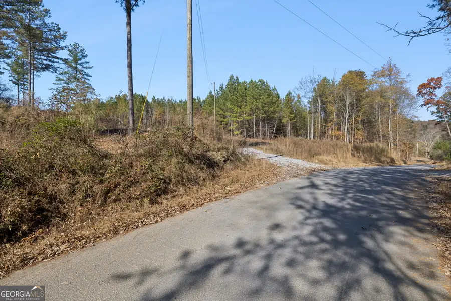 0 Sand Pit Road, Summerville, GA 30747 - Image #3