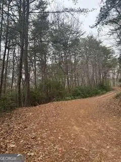 0 Winchester Creek, Young Harris, GA 30582 - #1