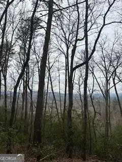 0 Winchester Creek, Young Harris, GA 30582 - #3