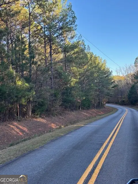 0 Brown Creek Road, Shiloh, GA 31826 - Image #2