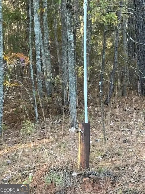 0 Brown Creek Road, Shiloh, GA 31826 - Image #3