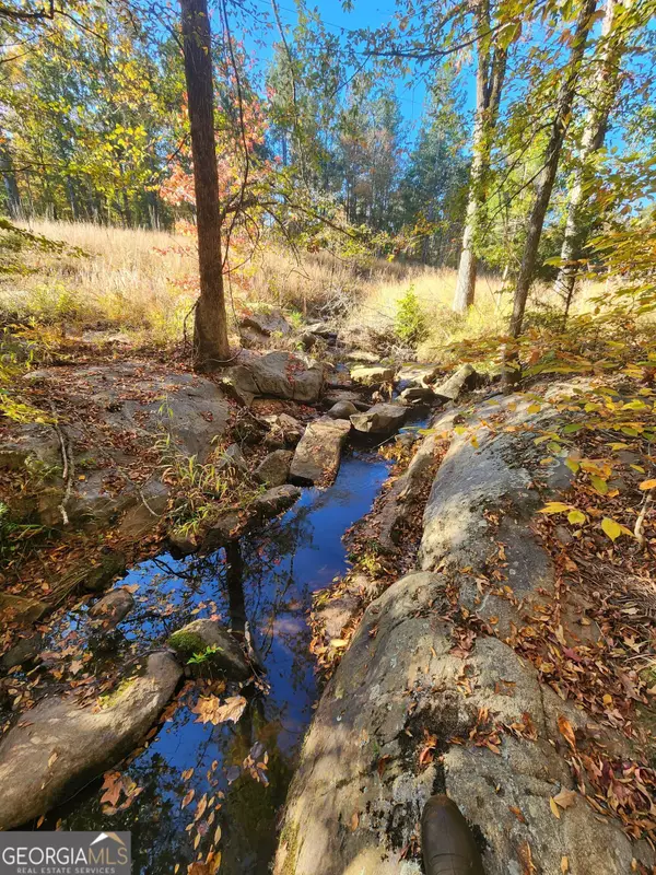 0 Martin Mill Road, Eatonton, GA 31024