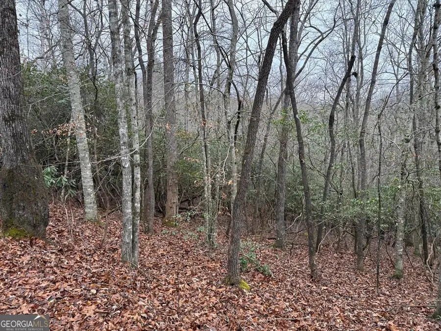 LOT 24 Ideal Acres, Otto, NC 28763 - #3