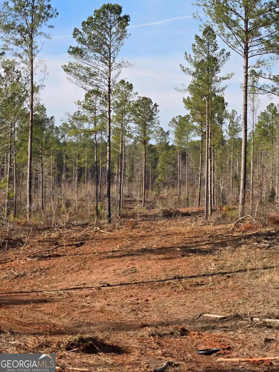 00 Martin Mill Road, Eatonton, GA 31024 - Image #3