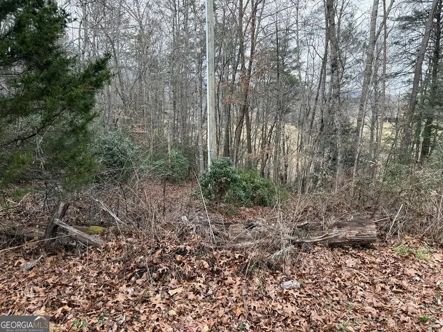LOT 33 Ideal Acres, Otto, NC 28763 - #3