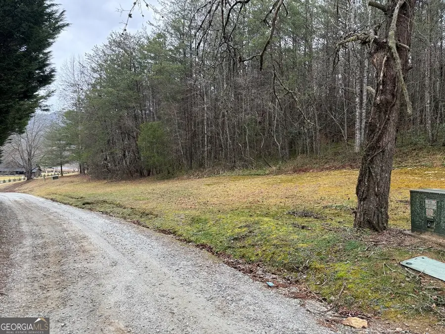 LOT 9 Ideal Acres, Otto, NC 28763 - #3