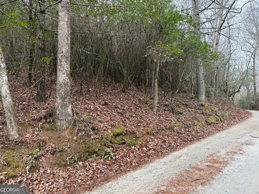 LOT 20 Ideal Acres, Otto, NC 28763 - #3