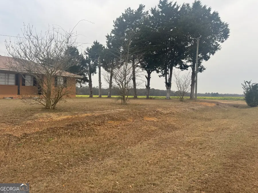 5545 Noble Gin Road, Pinehurst, GA 31070 - Image #2