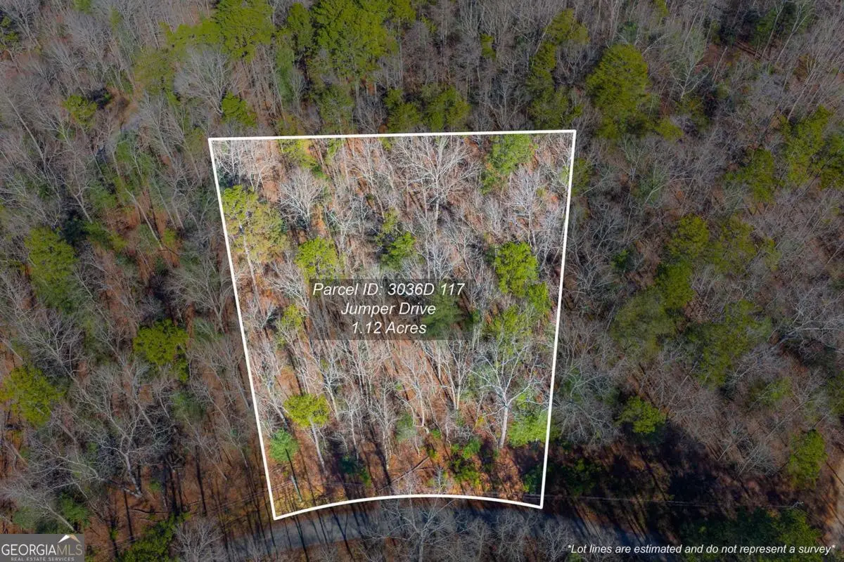 LOT 117 Jumper Drive, Ellijay, GA 30540 - Image #1